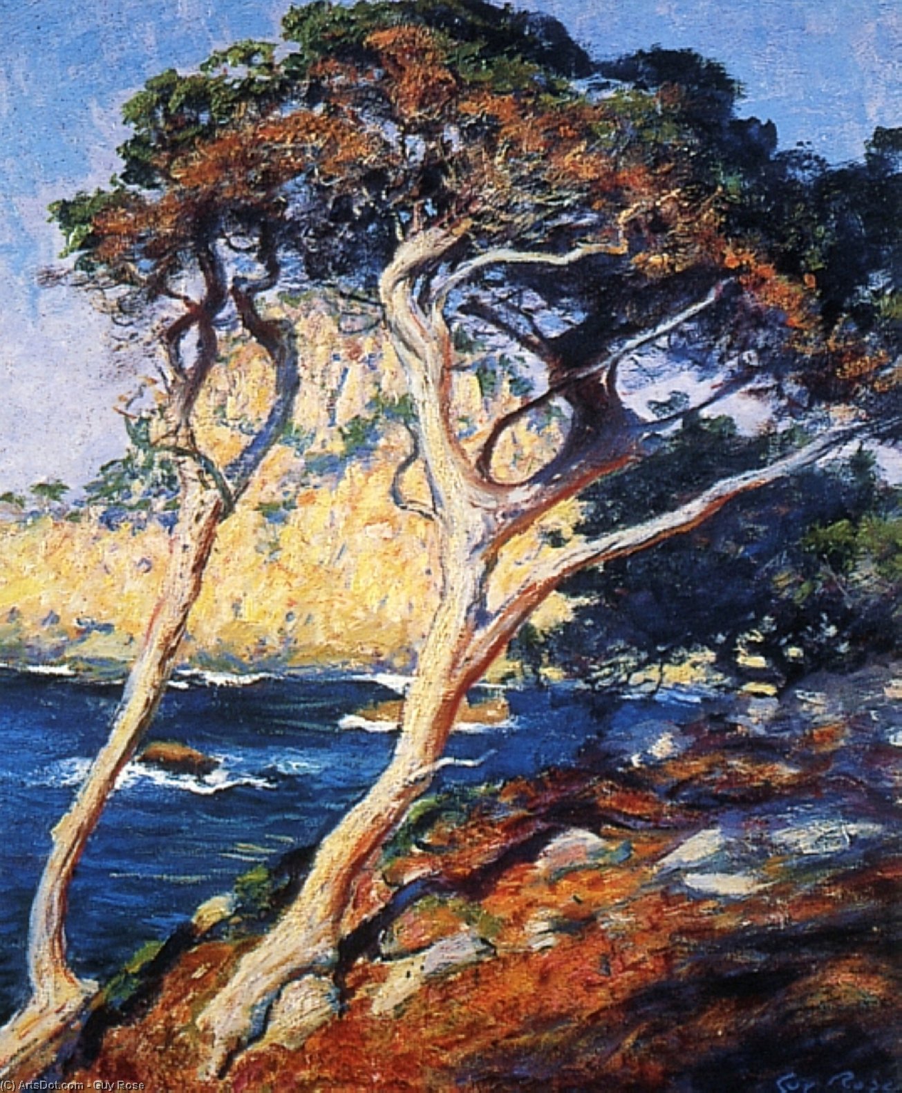 WikiOO.org - Encyclopedia of Fine Arts - Schilderen, Artwork Guy Rose - Point lobos trees, (1919)