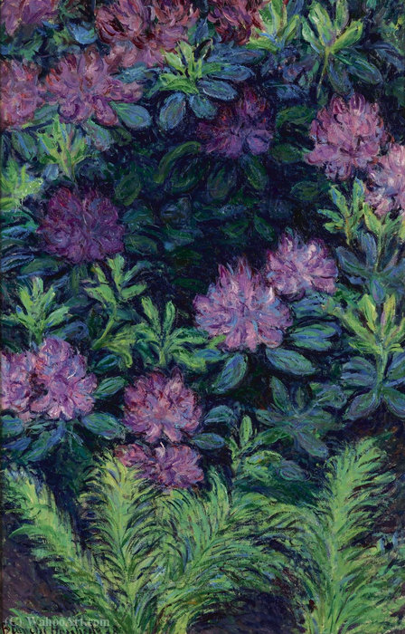 Wikioo.org - The Encyclopedia of Fine Arts - Painting, Artwork by Blanche Hoschedé-Monet - Rhododendrons, (1928)