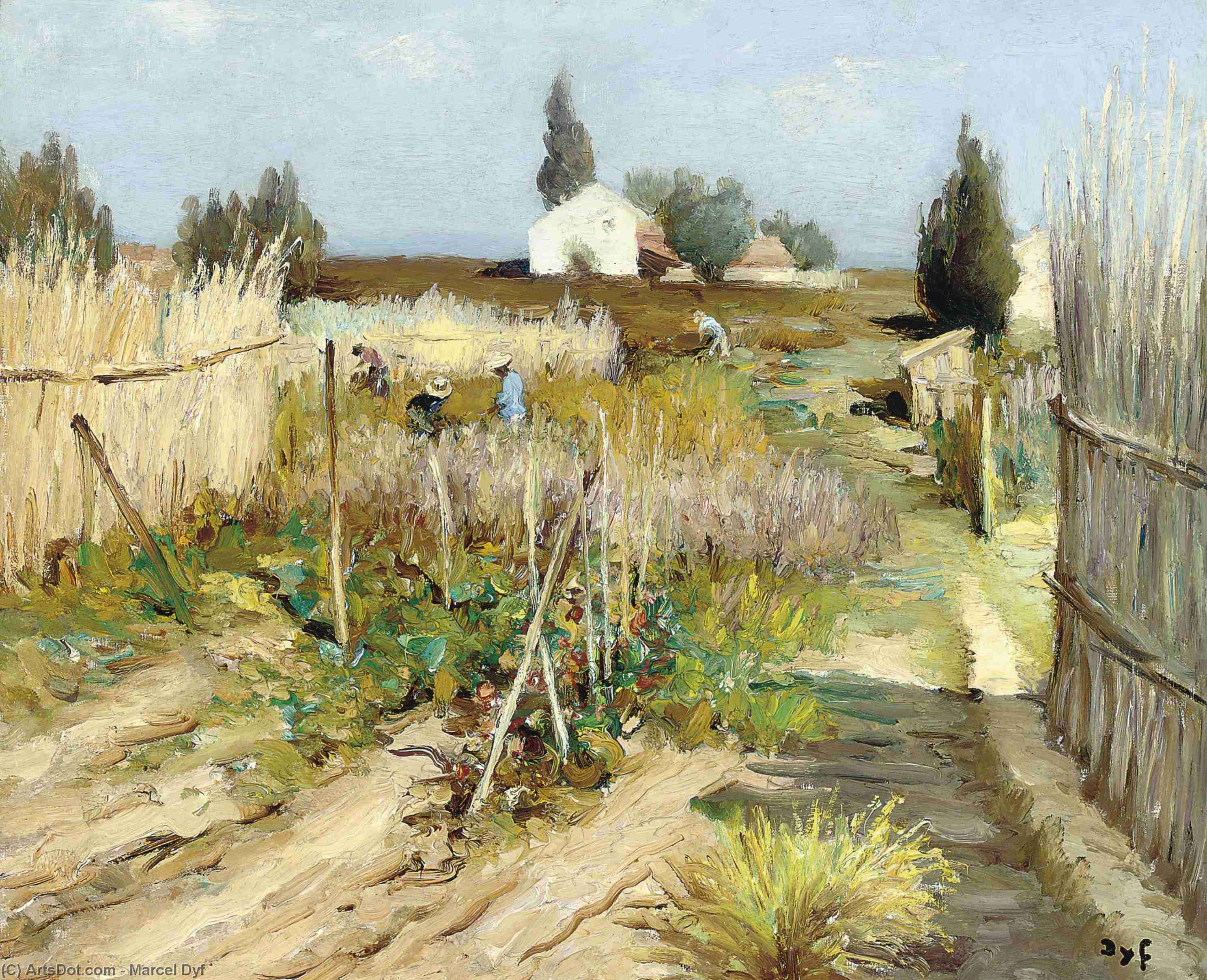 Wikioo.org - The Encyclopedia of Fine Arts - Painting, Artwork by Marcel Dyf - Kitchen Garden in Provence, (1950)
