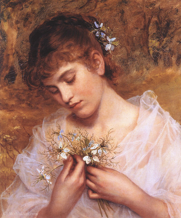 Wikioo.org - The Encyclopedia of Fine Arts - Painting, Artwork by Sophie Gengembre Anderson - Love in a Mist