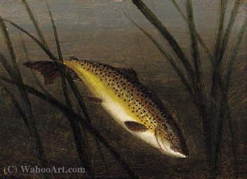 Wikioo.org - The Encyclopedia of Fine Arts - Painting, Artwork by A. Roland Knight - A trout on a line; and a trout leaping