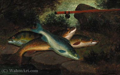 Wikioo.org - The Encyclopedia of Fine Arts - Painting, Artwork by A. Roland Knight - A trout, grayling and a perch