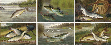 Wikioo.org - The Encyclopedia of Fine Arts - Painting, Artwork by A. Roland Knight - Perch; salmon and trout; roach; pike; barbel and chub; and trout - the first leap