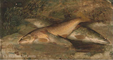 Wikioo.org - The Encyclopedia of Fine Arts - Painting, Artwork by A. Roland Knight - Rainbow trout, pike and perch