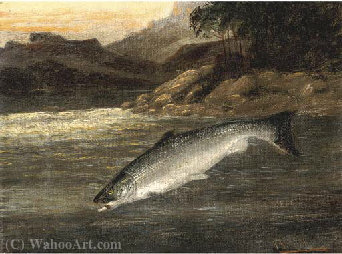 Wikioo.org - The Encyclopedia of Fine Arts - Painting, Artwork by A. Roland Knight - Salmon rising; and a netted perch
