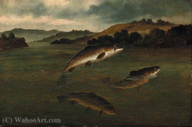 Wikioo.org - The Encyclopedia of Fine Arts - Painting, Artwork by A. Roland Knight - Trout rising