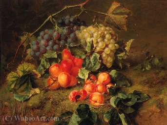 Wikoo.org - موسوعة الفنون الجميلة - اللوحة، العمل الفني Adriana Johanna Haanen - A still life with grapes and apricots