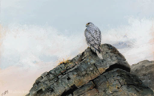 Wikoo.org - موسوعة الفنون الجميلة - اللوحة، العمل الفني George Edward Lodge - A greenland gyr falcon perched on rocks