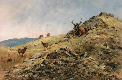 Wikioo.org - The Encyclopedia of Fine Arts - Painting, Artwork by George Edward Lodge - Afternoon sunshine, killilan