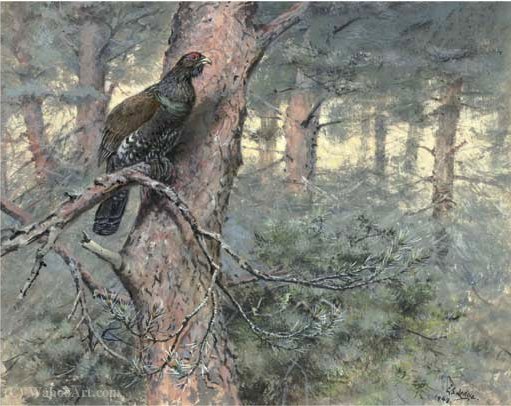 Wikioo.org - The Encyclopedia of Fine Arts - Painting, Artwork by George Edward Lodge - Capercaillie, on scots pine
