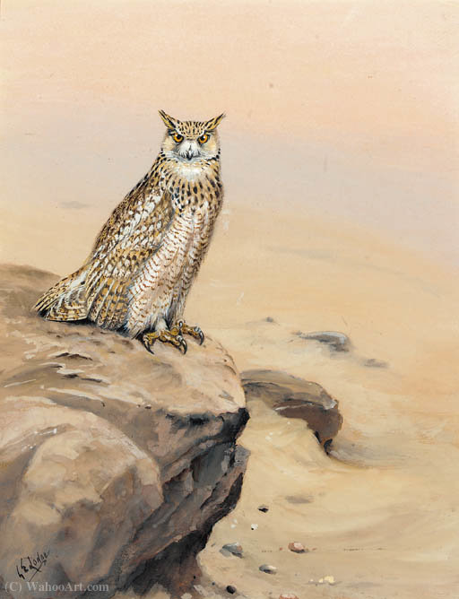 Wikioo.org - สารานุกรมวิจิตรศิลป์ - จิตรกรรม George Edward Lodge - Eagle owl on a rock