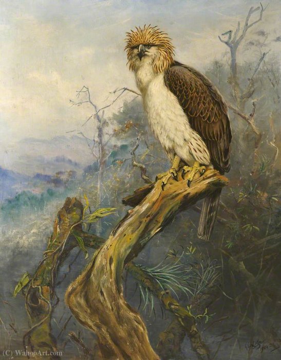 Wikioo.org - The Encyclopedia of Fine Arts - Painting, Artwork by George Edward Lodge - Monkey-Eating Eagle
