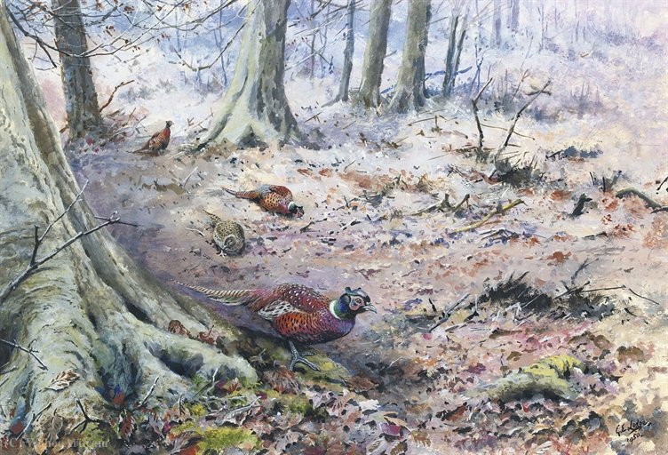 Wikioo.org - The Encyclopedia of Fine Arts - Painting, Artwork by George Edward Lodge - Pheasant in a wood