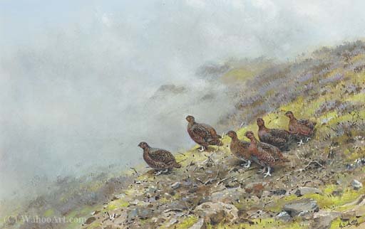 WikiOO.org - Encyclopedia of Fine Arts - Schilderen, Artwork George Edward Lodge - Red grouse on a scottish moor