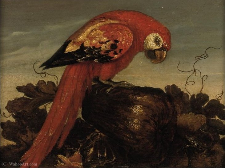 Wikioo.org - The Encyclopedia of Fine Arts - Painting, Artwork by Abraham Bosschaert - Parrot sitting on a large vegetable, eying a small lizard