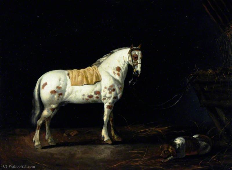 Wikioo.org - The Encyclopedia of Fine Arts - Painting, Artwork by Abraham Pietersz Van Calraet - A Dappled Stallion with a Dog in a Stable