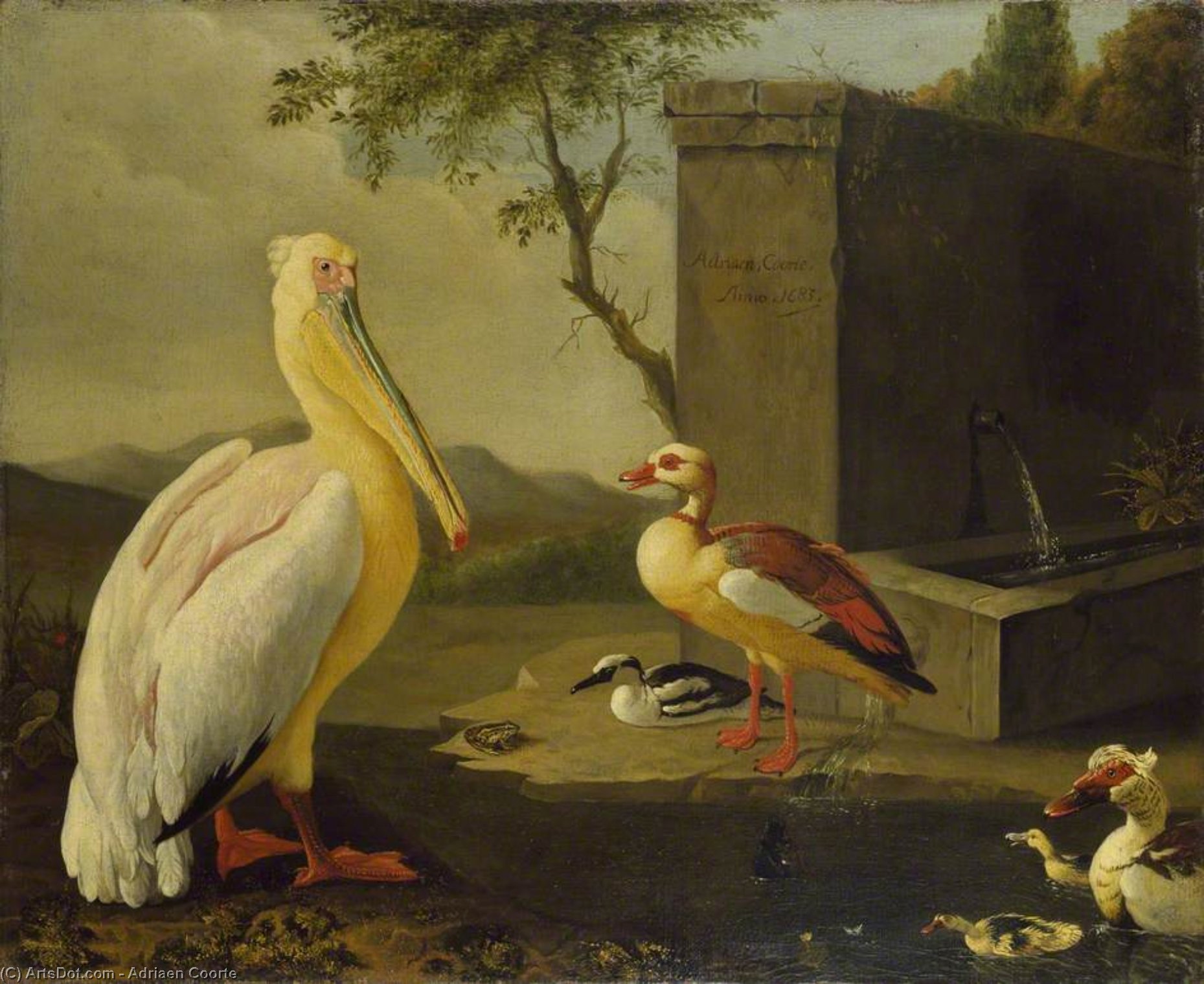 WikiOO.org - Enciklopedija dailės - Tapyba, meno kuriniai Adriaen Coorte - Oriental birds