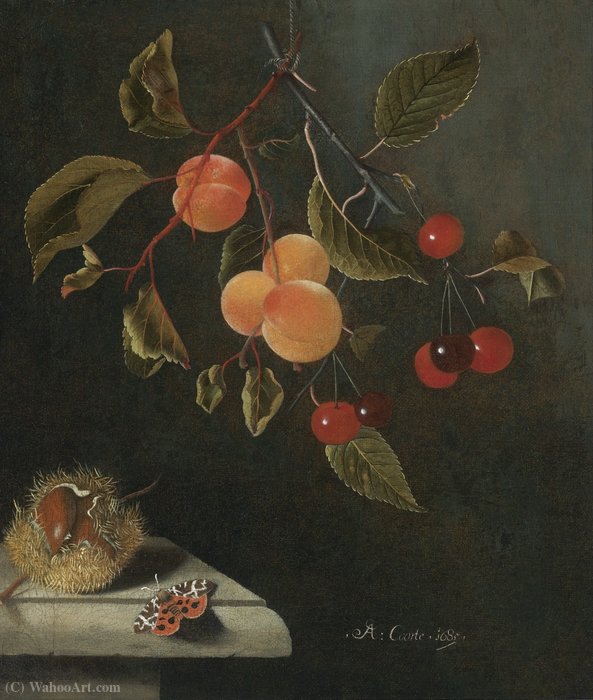 WikiOO.org - Encyclopedia of Fine Arts - Maľba, Artwork Adriaen Coorte - Still life with a butterfly, apricots, cherries and a chestnut