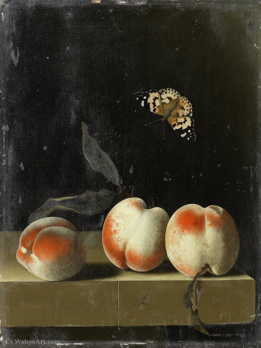 WikiOO.org - Enciclopédia das Belas Artes - Pintura, Arte por Adriaen Coorte - Three peaches on a stone ledge with a Painted Lady butterfly