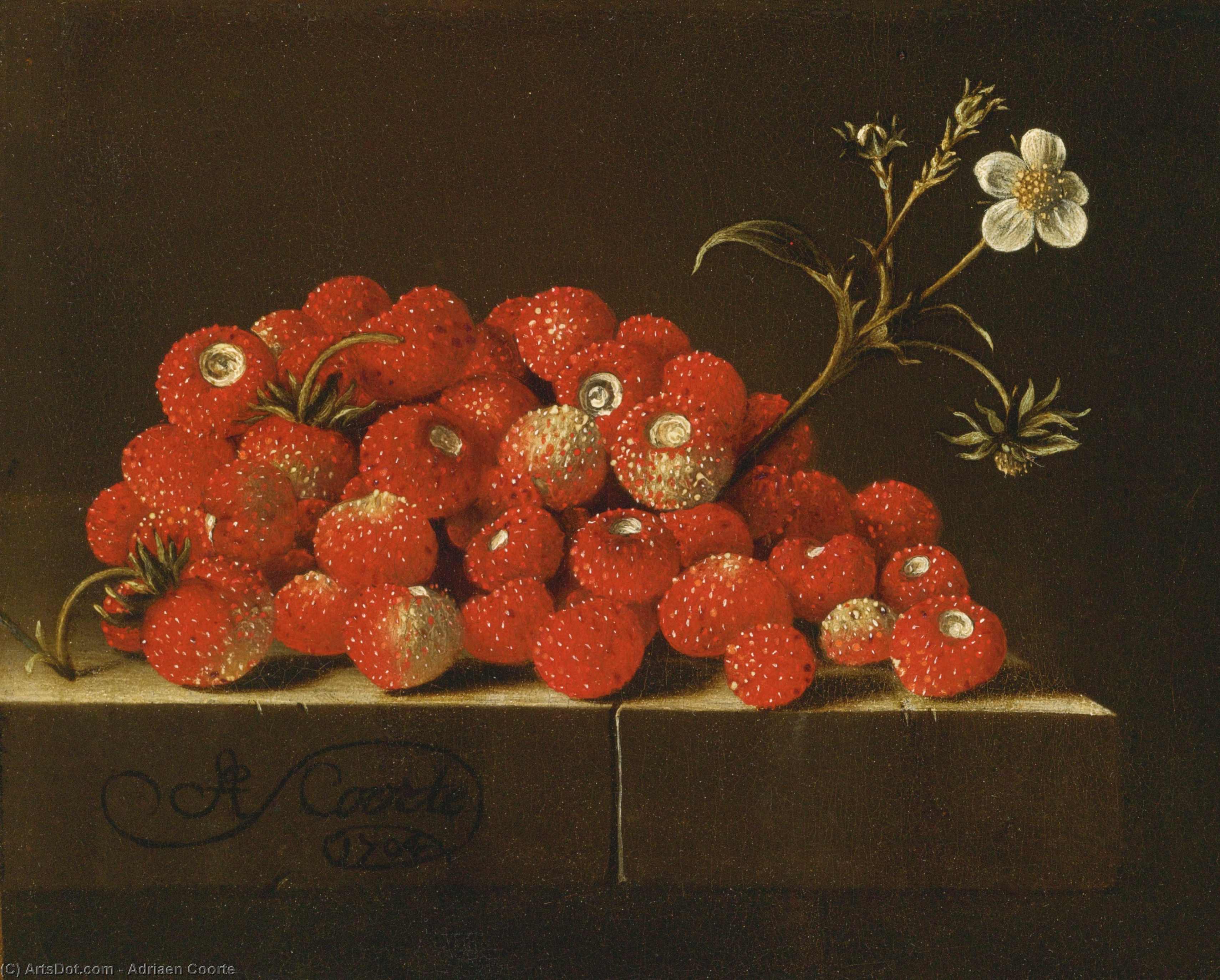 WikiOO.org - Enciklopedija dailės - Tapyba, meno kuriniai Adriaen Coorte - Wild strawberries on a ledge