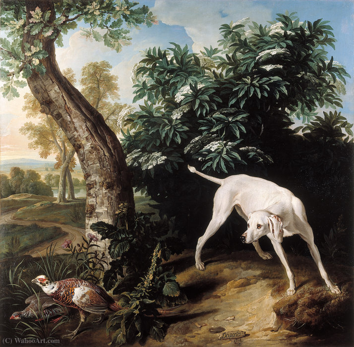 Wikioo.org - The Encyclopedia of Fine Arts - Painting, Artwork by Alexandre François Desportes - Chienne blanche devant un buisson de sureau
