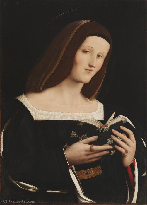 Wikioo.org - The Encyclopedia of Fine Arts - Painting, Artwork by Amico Aspertini - Female Saint Holding a Book