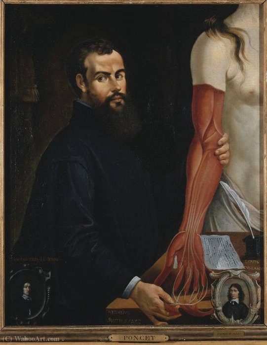 WikiOO.org - Encyclopedia of Fine Arts - Maalaus, taideteos Andreas Vesalius - A posthumous portrait of Andreas Vesalius