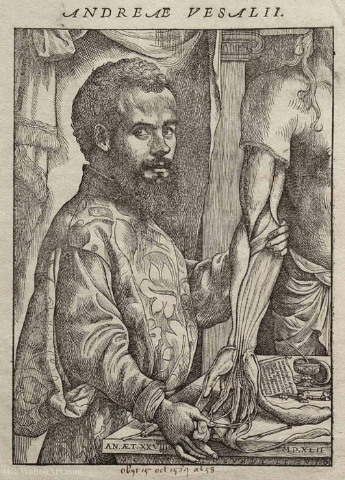 Wikioo.org - The Encyclopedia of Fine Arts - Painting, Artwork by Andreas Vesalius - Portrait of Vesalius from his De humani corporis fabrica.