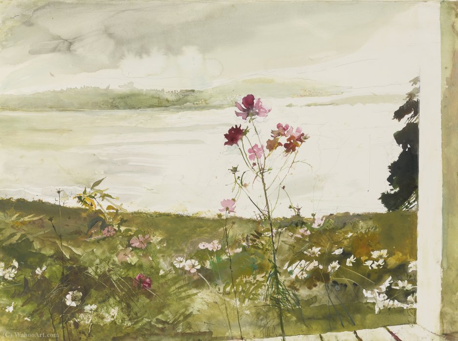 Wikioo.org - The Encyclopedia of Fine Arts - Painting, Artwork by Andrew Wyeth - Cosmos
