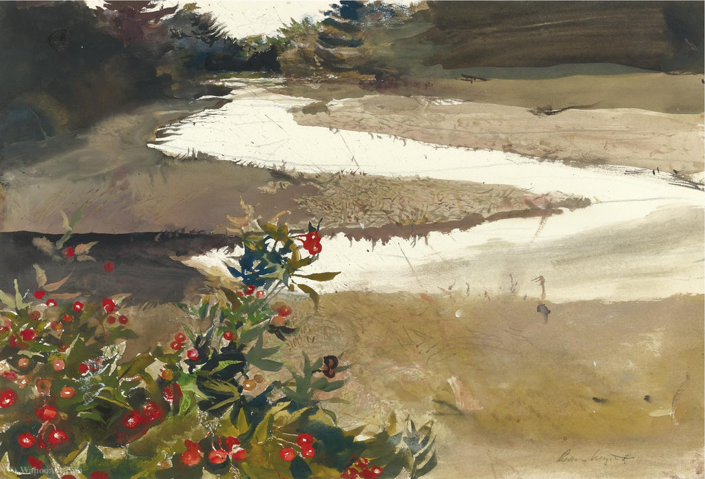 WikiOO.org – 美術百科全書 - 繪畫，作品 Andrew Wyeth - 玫瑰果（研究背水）