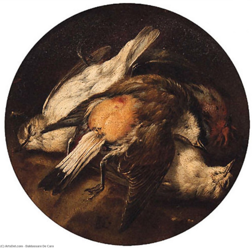 Wikioo.org - The Encyclopedia of Fine Arts - Painting, Artwork by Baldassare De Caro - ad Birds