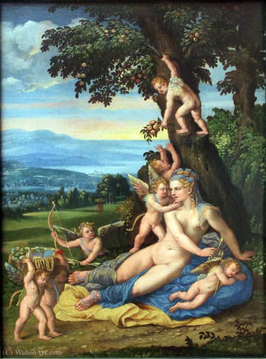 Wikioo.org - The Encyclopedia of Fine Arts - Painting, Artwork by Battista Dossi - Venus and Cupids