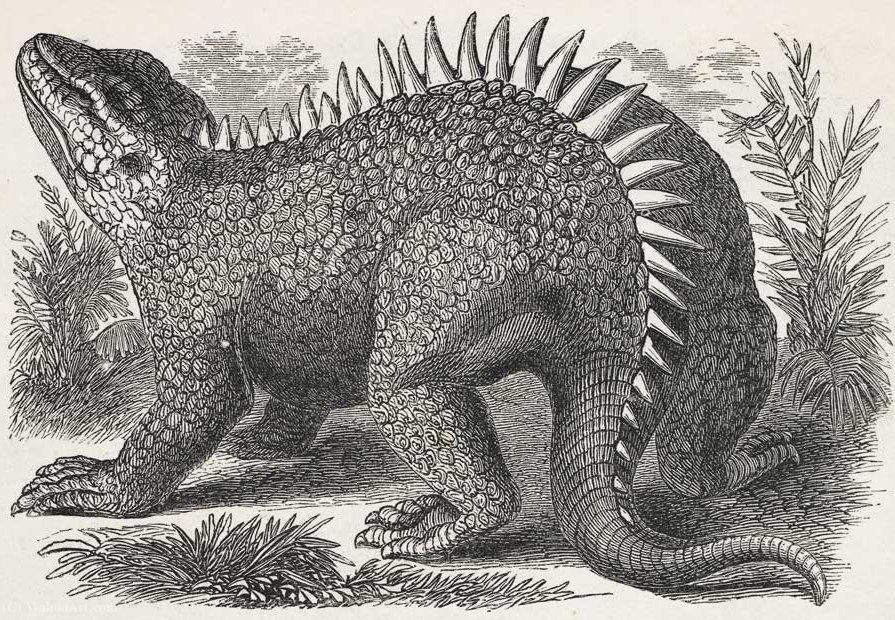 Wikioo.org - The Encyclopedia of Fine Arts - Painting, Artwork by Benjamin Waterhouse Hawkins - Hylaeosaurus