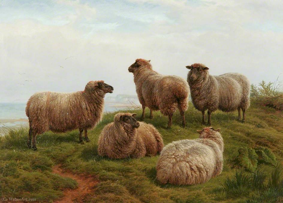 Wikoo.org - موسوعة الفنون الجميلة - اللوحة، العمل الفني Charles Jones - Sheep on a Hillside