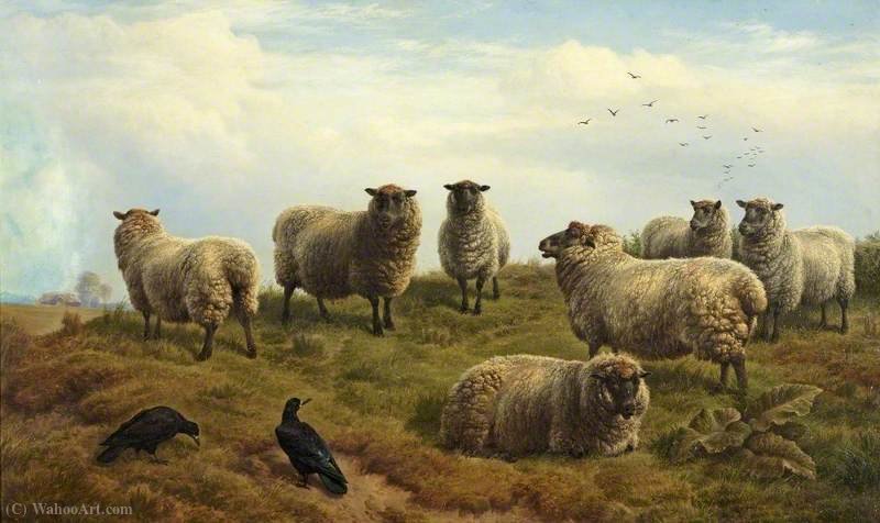WikiOO.org - Encyclopedia of Fine Arts - Malba, Artwork Charles Jones - Sheep 23