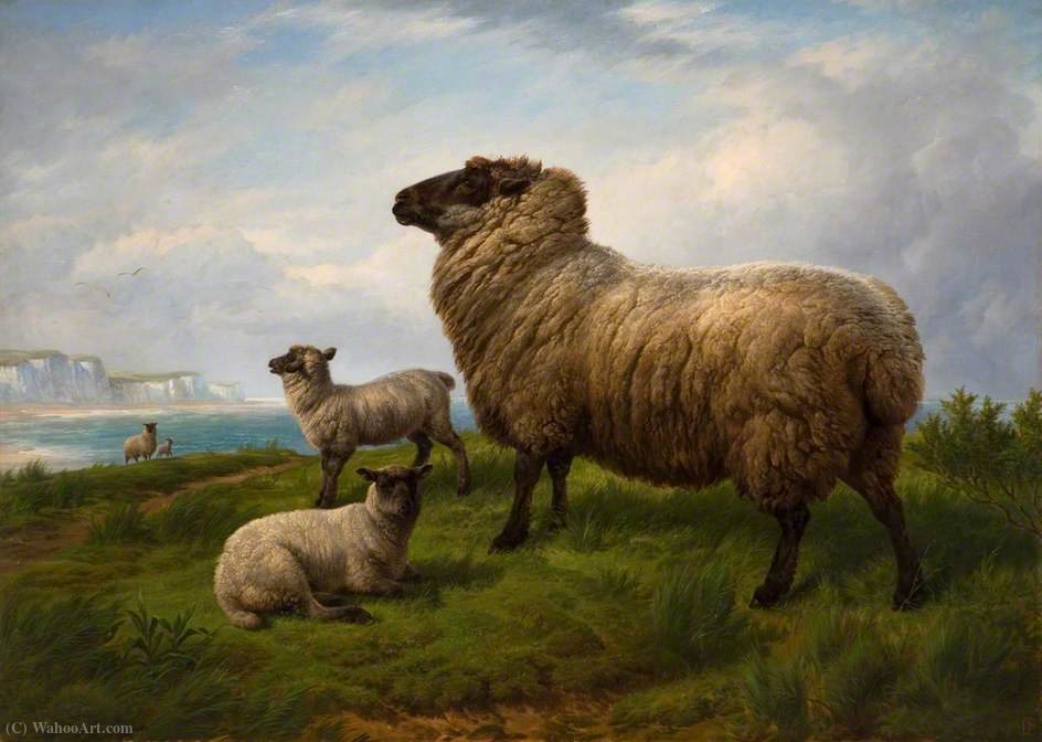 WikiOO.org - Εγκυκλοπαίδεια Καλών Τεχνών - Ζωγραφική, έργα τέχνης Charles Jones - Sheep