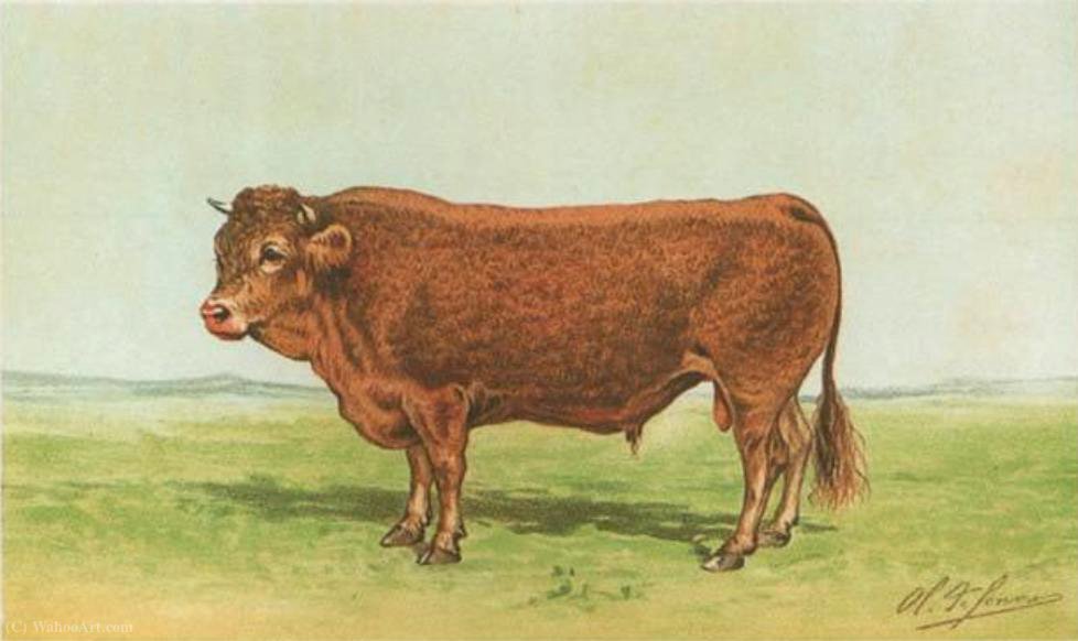 WikiOO.org - Encyclopedia of Fine Arts - Maalaus, taideteos Charles Olivier De Penne - Limousin bull
