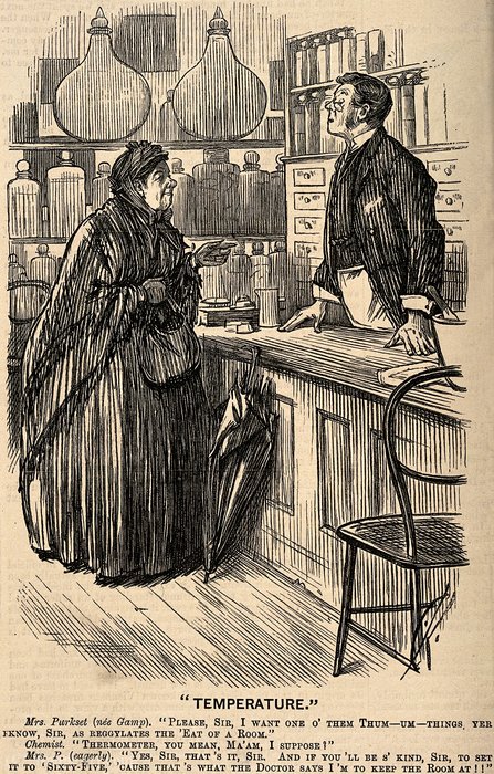 Wikioo.org - The Encyclopedia of Fine Arts - Painting, Artwork by Charles Samuel Keene - An old lady in a chemists misunderstanding the use of a ther