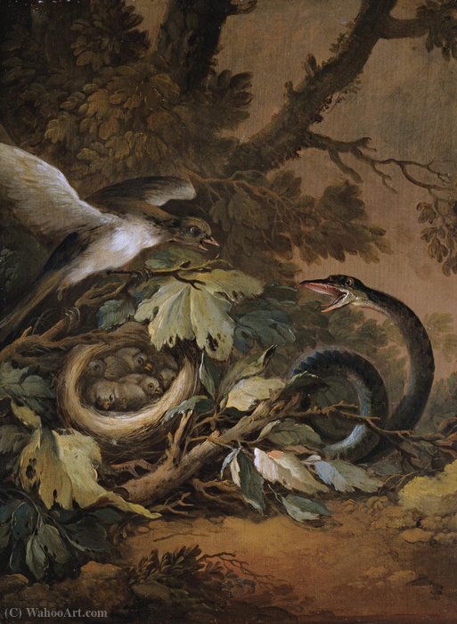 Wikioo.org - The Encyclopedia of Fine Arts - Painting, Artwork by Christoph Ludwig Agricola - Still life with a viper and a bird's nest