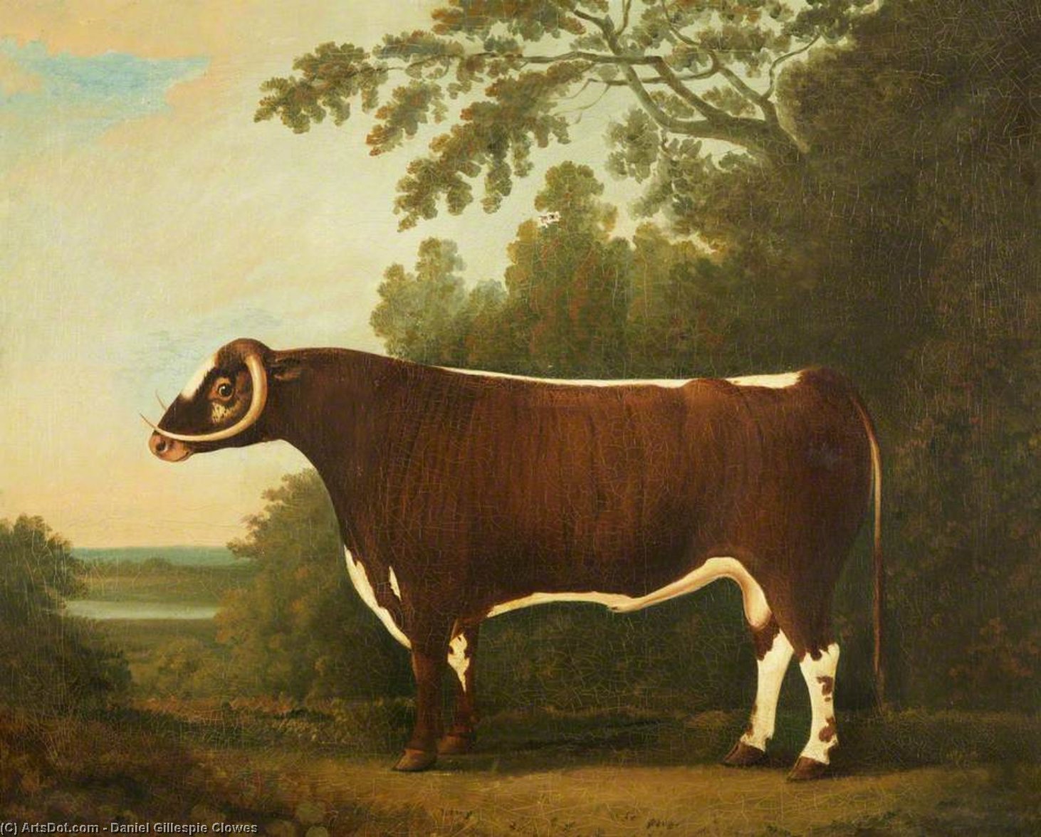 WikiOO.org - Enciclopédia das Belas Artes - Pintura, Arte por Daniel Gillespie Clowes - Longhorn bull