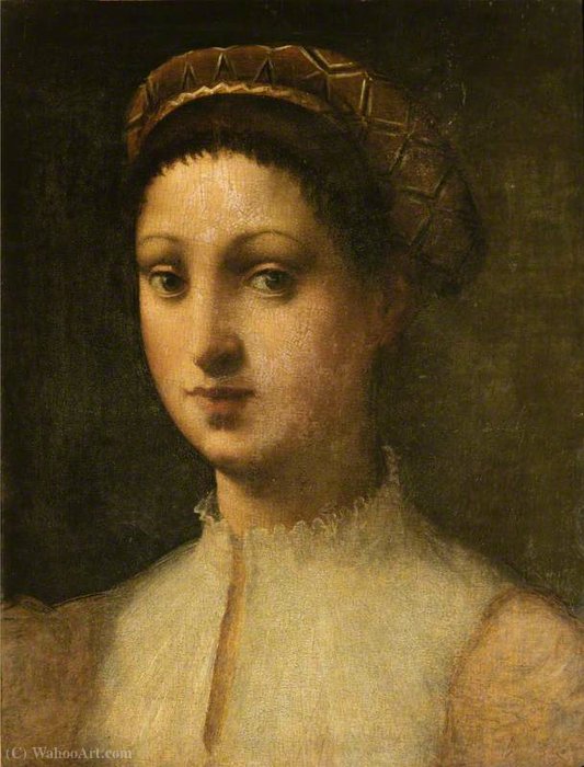 Wikioo.org - The Encyclopedia of Fine Arts - Painting, Artwork by Domenico Puligo - Young woman la fornarina
