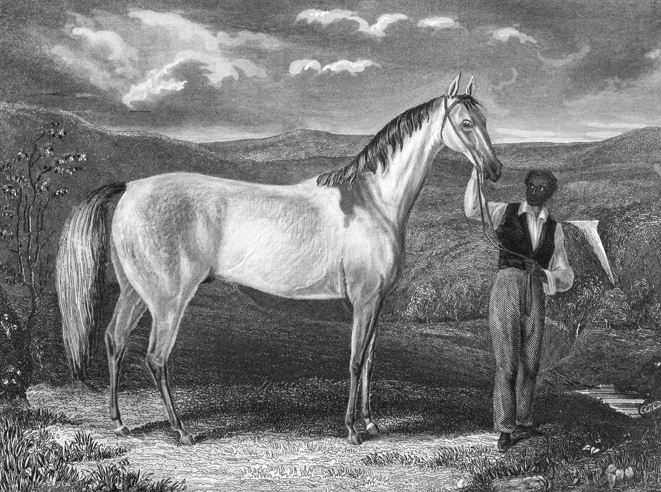 Wikioo.org - The Encyclopedia of Fine Arts - Painting, Artwork by Edward Troye - Grey Eagle and his jockey Cato