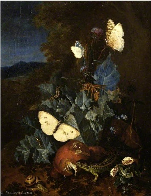 Wikioo.org - The Encyclopedia of Fine Arts - Painting, Artwork by Elias Van Den Broeck - Still Life with a Thistle, Boletus, Snail, Lizard, Butterflies and a Bee in a Landscape