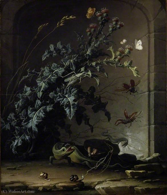 WikiOO.org - Encyclopedia of Fine Arts - Maľba, Artwork Elias Van Den Broeck - Stone Niche with Thistle, Lizard and Insects