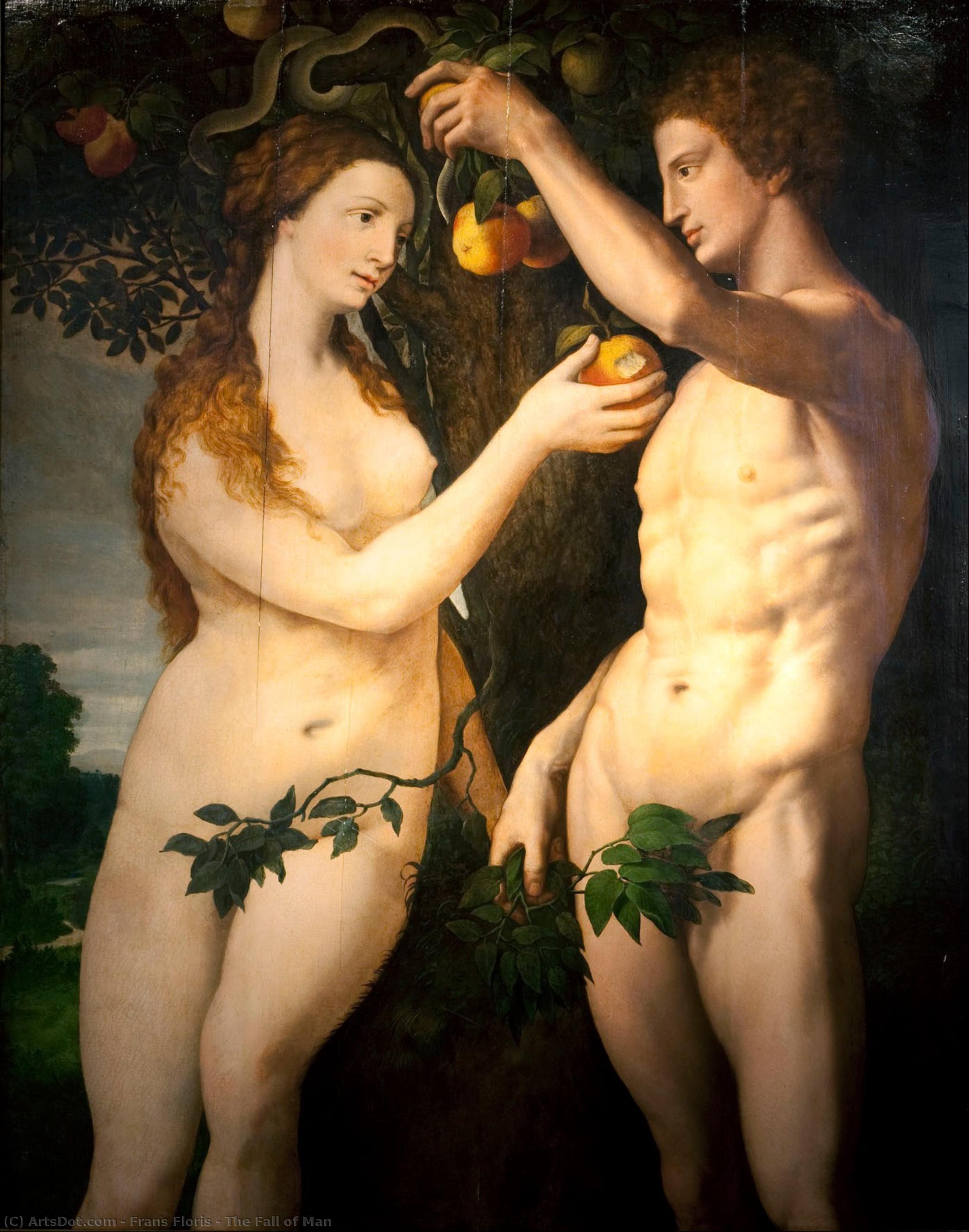 Wikioo.org – La Enciclopedia de las Bellas Artes - Pintura, Obras de arte de Frans Floris - el caída hombre