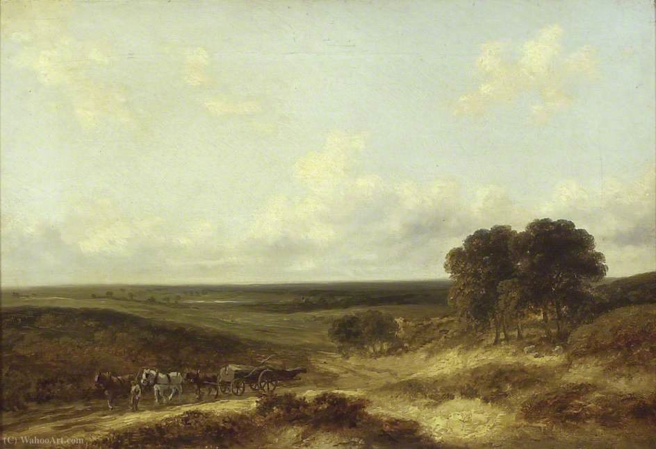 Wikioo.org - The Encyclopedia of Fine Arts - Painting, Artwork by George Vincent - Mousehole heath, norfolk
