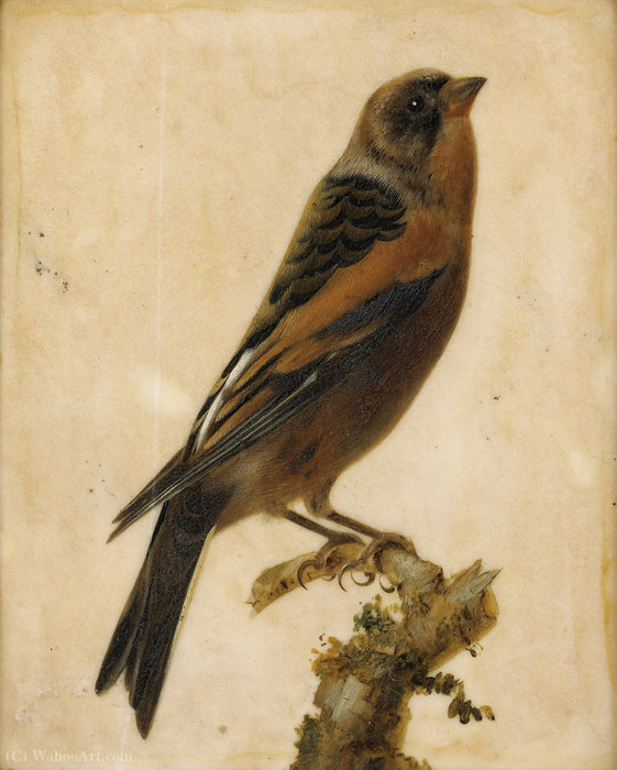 Wikioo.org – L'Encyclopédie des Beaux Arts - Peinture, Oeuvre de Gerard Van Spaendonck - Oiseau sur une branche