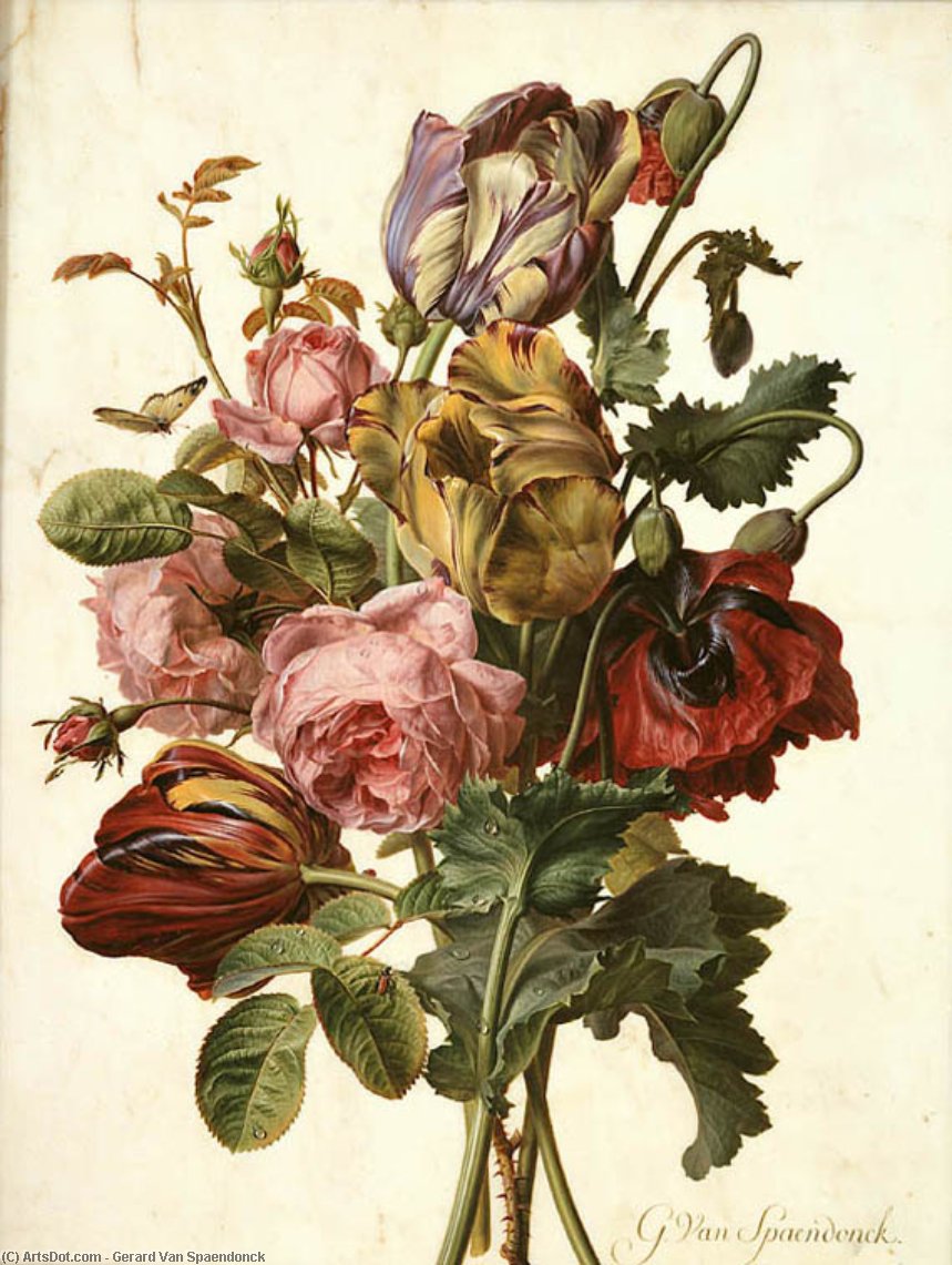 Wikioo.org – L'Encyclopédie des Beaux Arts - Peinture, Oeuvre de Gerard Van Spaendonck - le bouquet