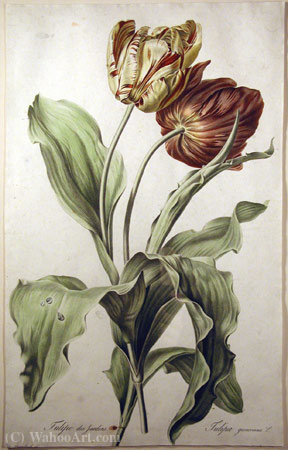 Wikioo.org – L'Encyclopédie des Beaux Arts - Peinture, Oeuvre de Gerard Van Spaendonck - Jardins de tulipes