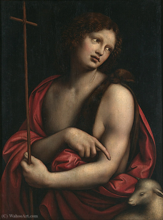 Wikioo.org – L'Encyclopédie des Beaux Arts - Peinture, Oeuvre de Giampietrino - St. John the Baptist